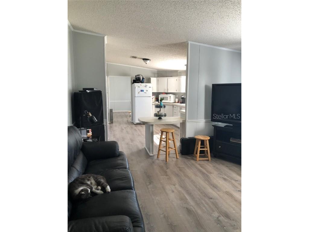 30340 Baylor Lane Wesley Chapel FL 33545 - LAKE HOLDEN T3551058 image3