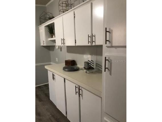 30340 Baylor Lane Wesley Chapel FL 33545 - LAKE HOLDEN T3551058 image5