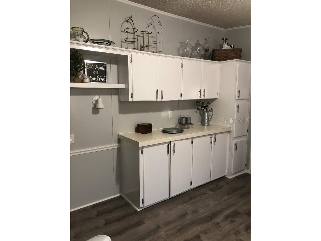 30340 Baylor Lane Wesley Chapel FL 33545 - LAKE HOLDEN T3551058 image6