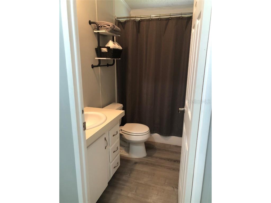 30340 Baylor Lane Wesley Chapel FL 33545 - LAKE HOLDEN T3551058 image9