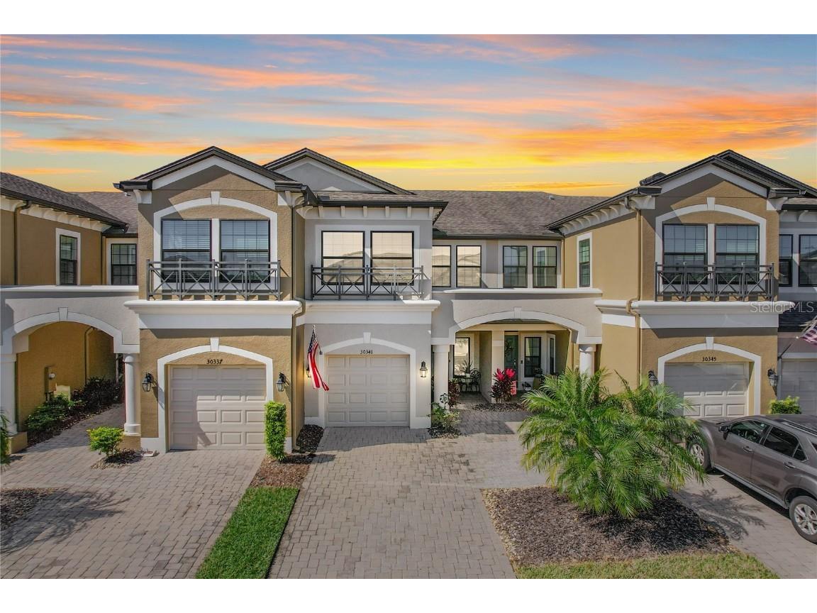 30341 Southwell Lane Wesley Chapel FL 33543 T3432326 image1