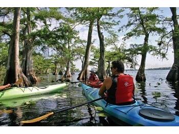 30342 Vitex Avenue Eustis FL 32736 - LAKE NORRIS W7883035 image34