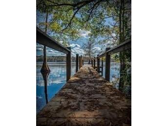 30342 Vitex Avenue Eustis FL 32736 - LAKE NORRIS W7883035 image35