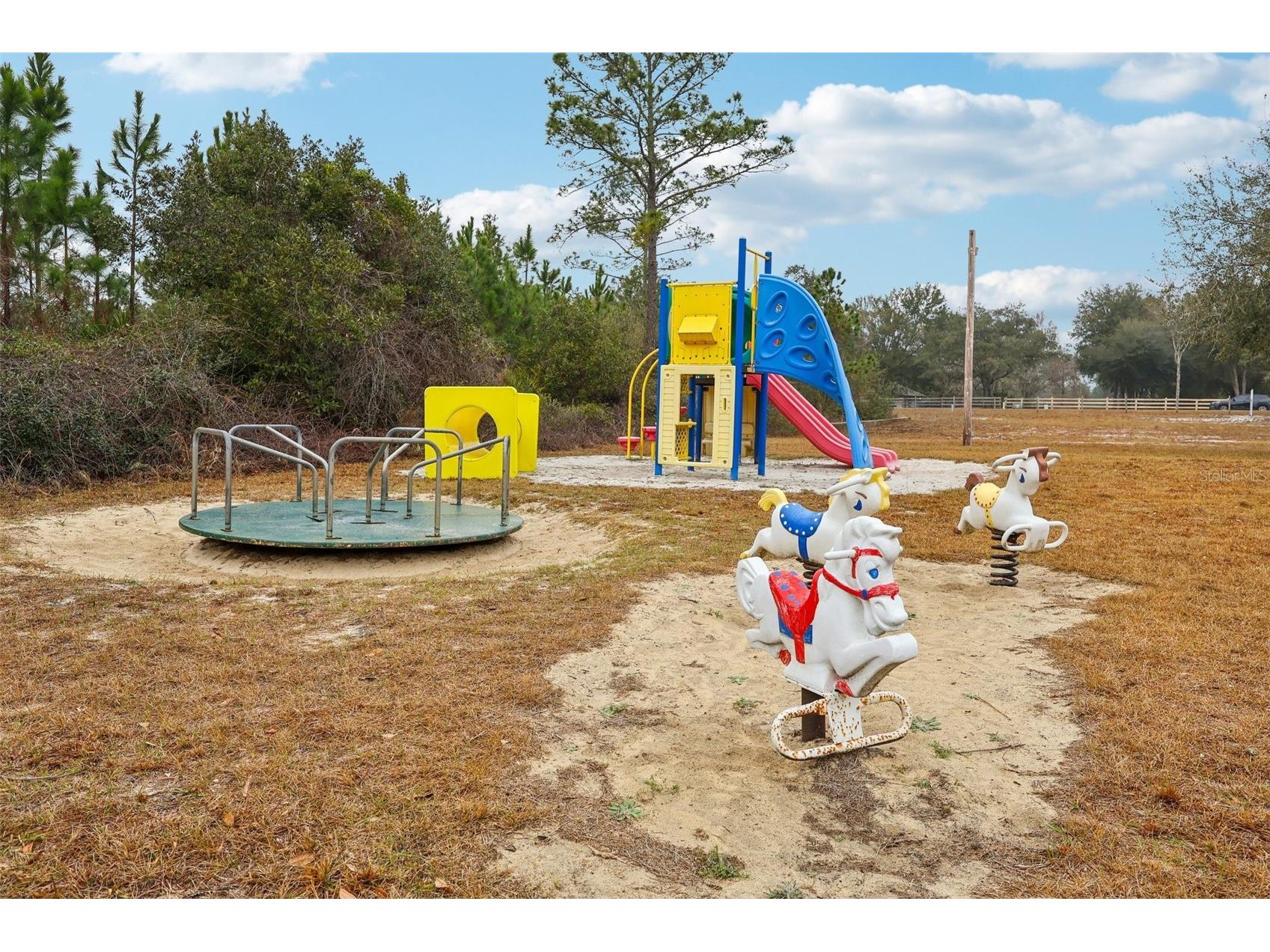 30342 Vitex Avenue Eustis FL 32736 - LAKE NORRIS W7883035 image39