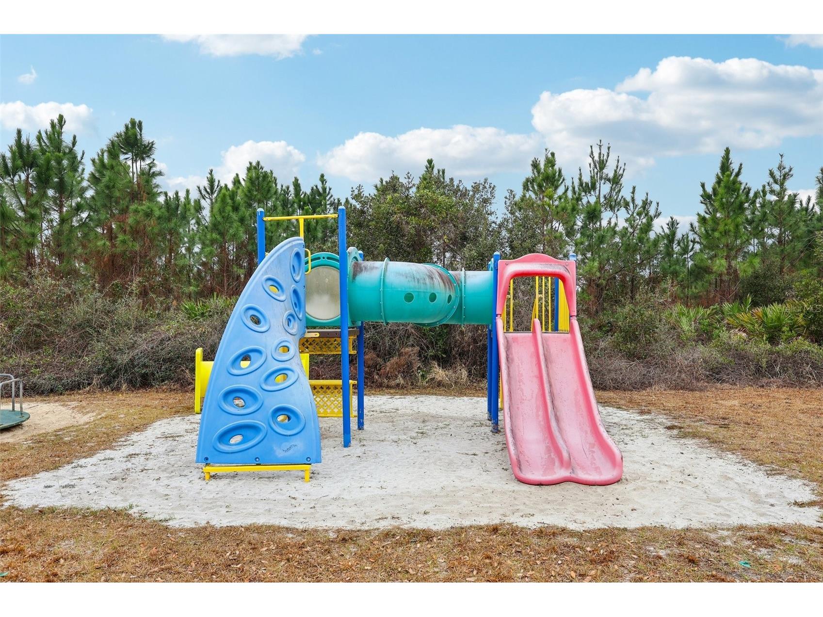 30342 Vitex Avenue Eustis FL 32736 - LAKE NORRIS W7883035 image41