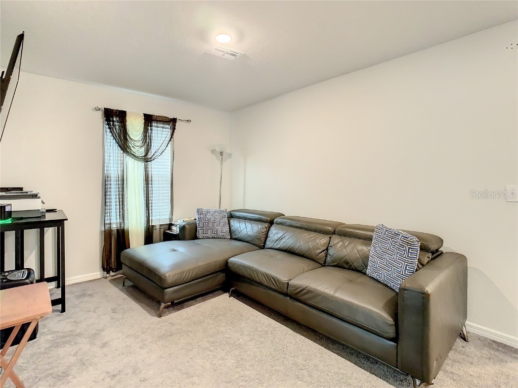 30344 Marquette Ave Wesley Chapel FL 33545 TB8445512 image23