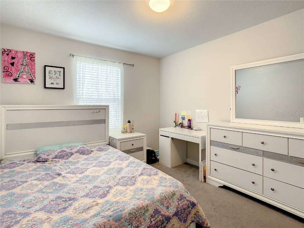 30344 Marquette Ave Wesley Chapel FL 33545 TB8445512 image26