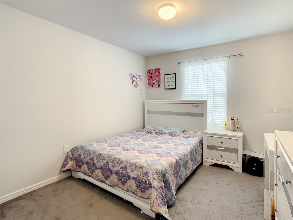 30344 Marquette Ave Wesley Chapel FL 33545 TB8445512 image27