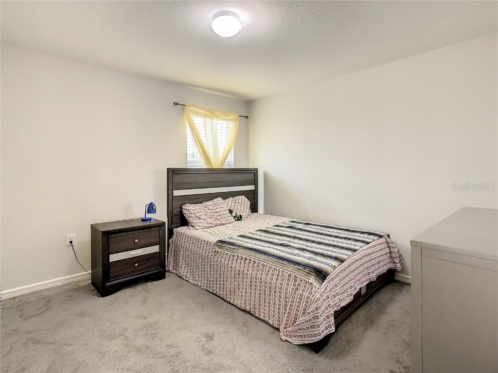 30344 Marquette Ave Wesley Chapel FL 33545 TB8445512 image34