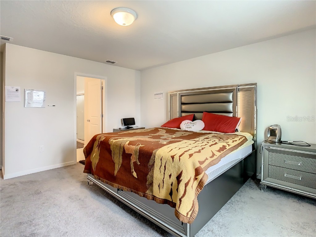 30344 Marquette Ave Wesley Chapel FL 33545 TB8445512 image39