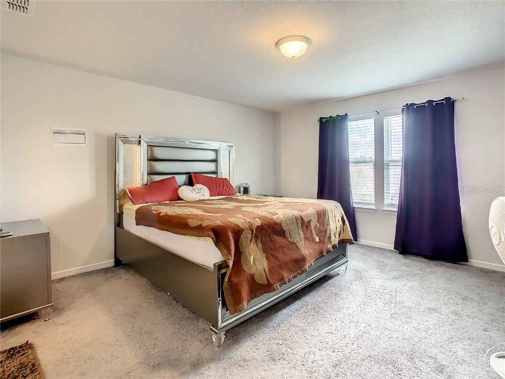 30344 Marquette Ave Wesley Chapel FL 33545 TB8445512 image40