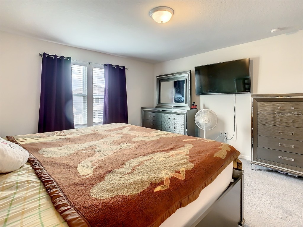 30344 Marquette Ave Wesley Chapel FL 33545 TB8445512 image41