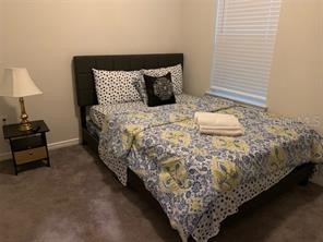 30344 Marquette Ave Wesley Chapel FL 33545 TB8445512 image48