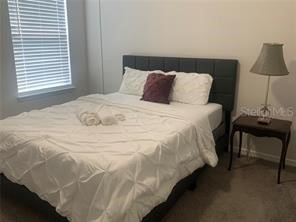 30344 Marquette Ave Wesley Chapel FL 33545 TB8445512 image49