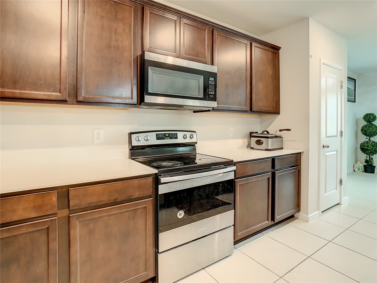30344 Marquette Ave Wesley Chapel FL 33545 TB8514629 image3