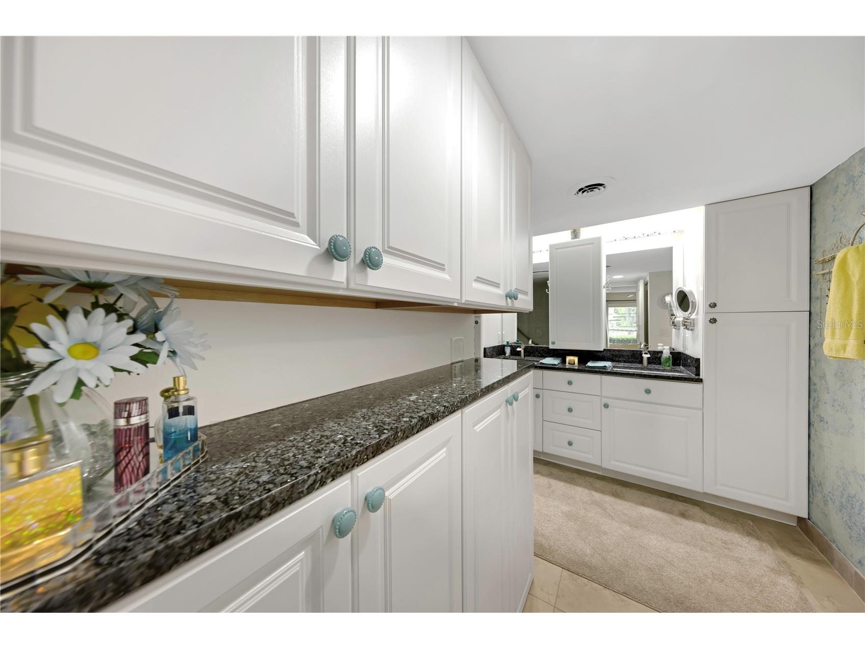 3035 Countryside Boulevard #16B Clearwater FL 33761 TB8465593 image15