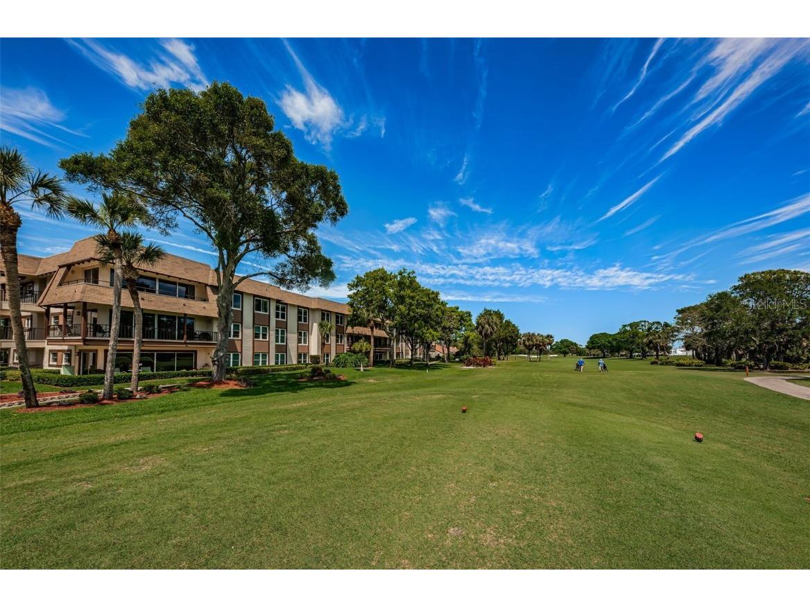 3035 Countryside Boulevard #31B Clearwater FL 33761 TB8339155 image1