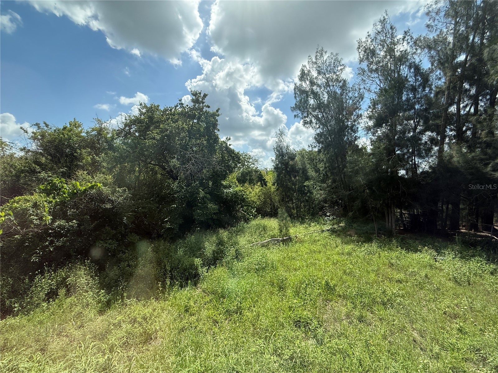 3035 Crystal Hills Drive Lakeland FL 33801 L4963017 image44