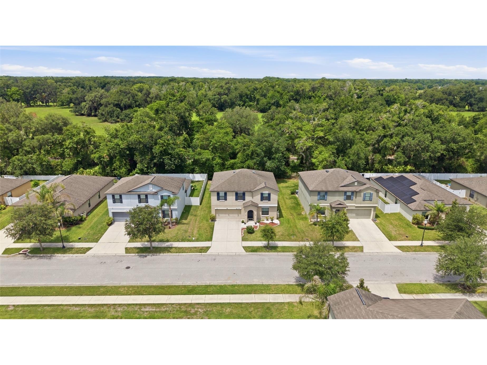 3035 Moulden Hollow Drive Zephyrhills FL 33540 TB8514887 image41