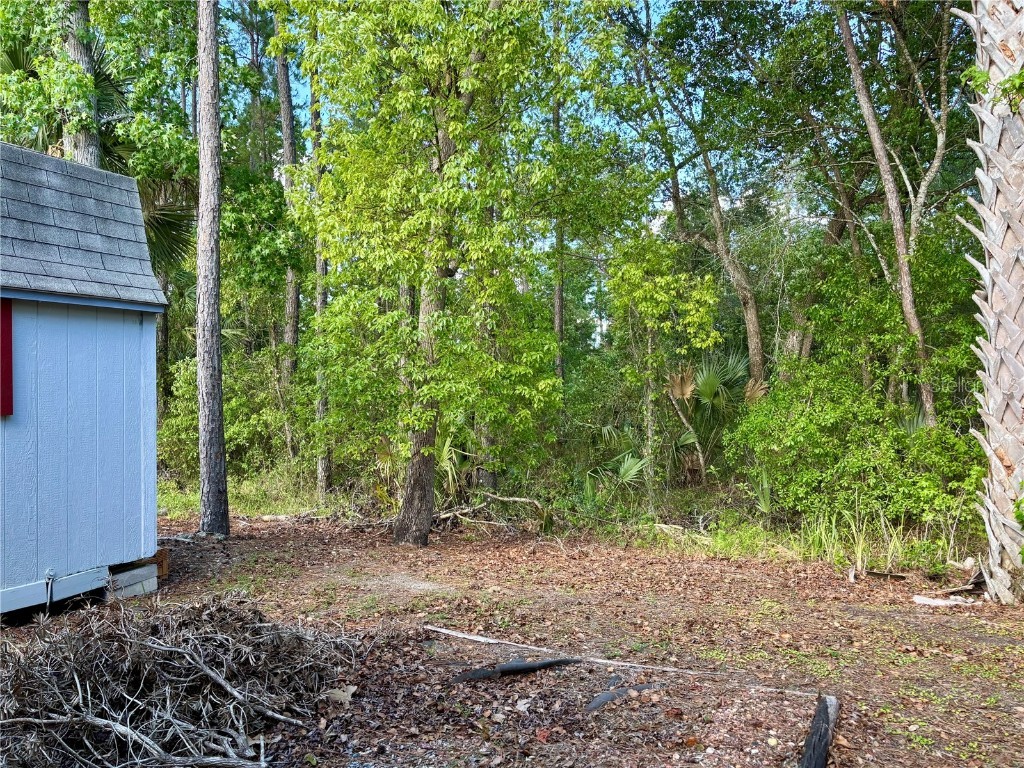 3035 NE 104th Terrace Silver Springs FL 34488 - OCKLAWAHA RIVER OM701682 image8