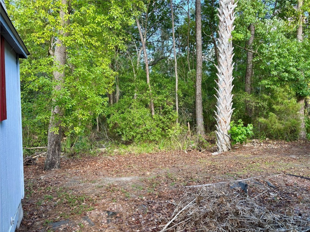 3035 NE 104th Terrace Silver Springs FL 34488 - OCKLAWAHA RIVER OM701682 image9