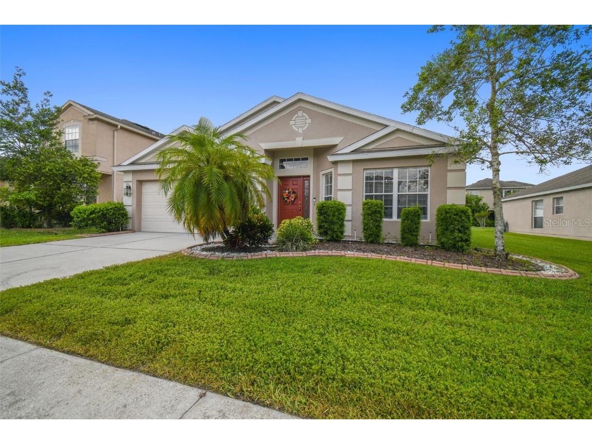 30350 Grymes Drive Wesley Chapel FL 33545 T3464506 image1