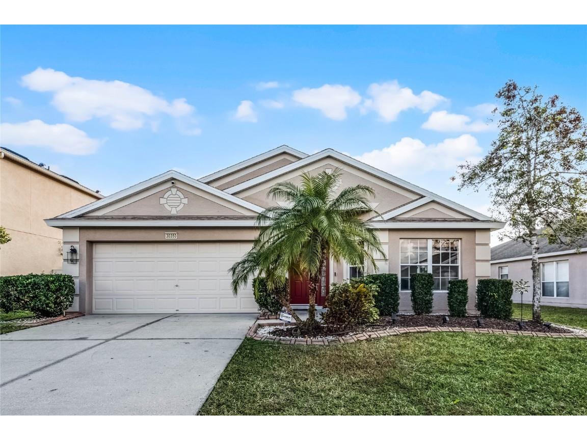 30350 Grymes Drive Wesley Chapel FL 33545 O6277618 image1