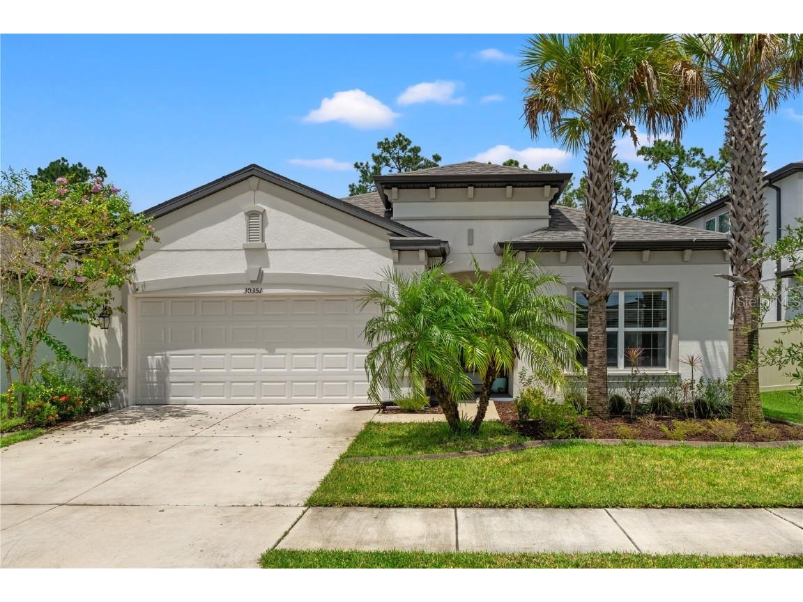 30351 Marquette Avenue Wesley Chapel FL 33545 T3549173 image1