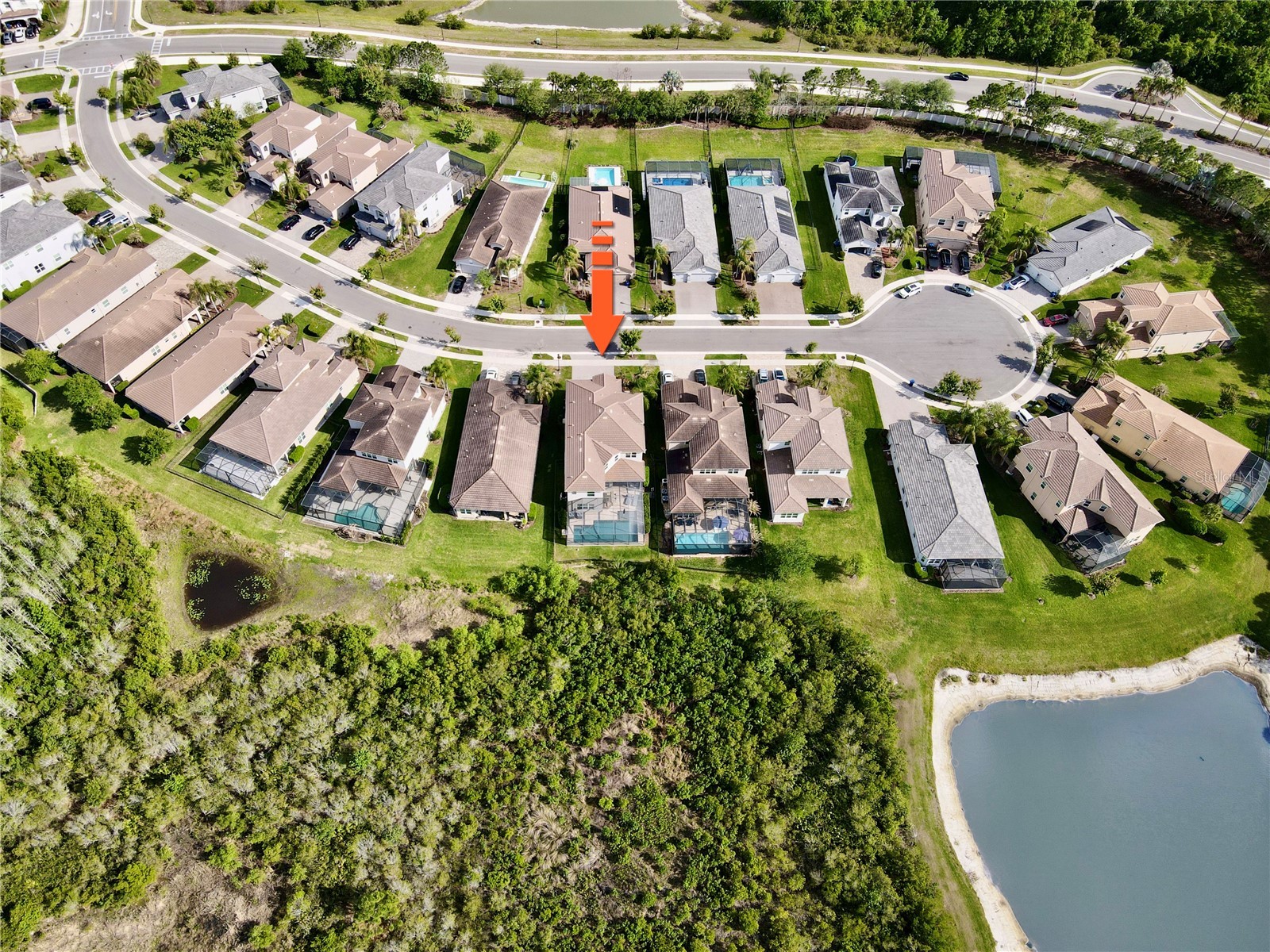 30351 Tristania Court Wesley Chapel FL 33543 TB8495701 image4