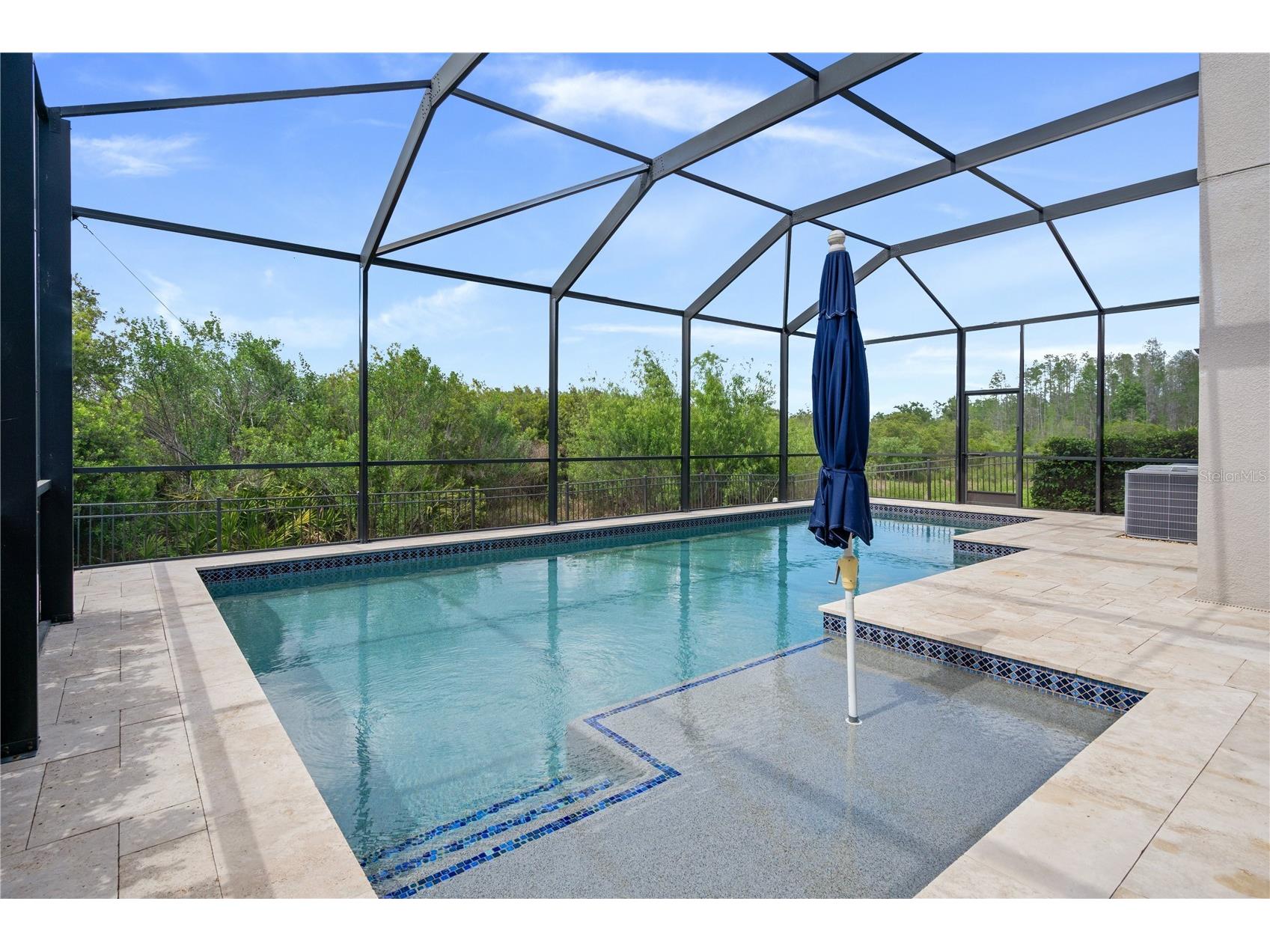 30351 Tristania Court Wesley Chapel FL 33543 TB8495701 image41