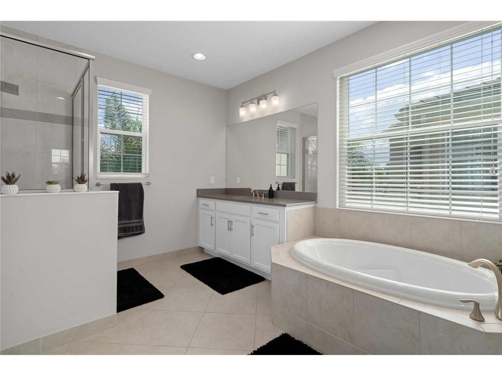 30351 Tristania Court Wesley Chapel FL 33543 TB8495701 image53