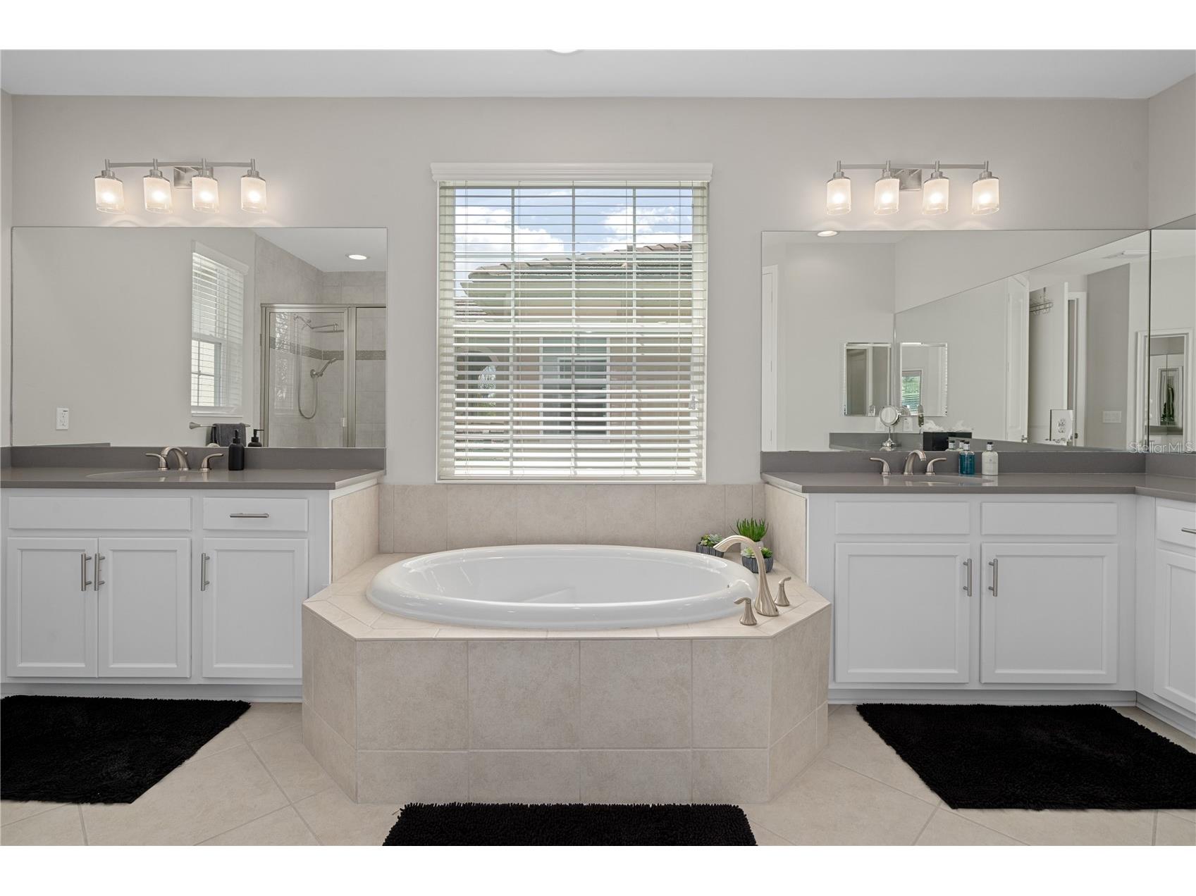 30351 Tristania Court Wesley Chapel FL 33543 TB8495701 image54