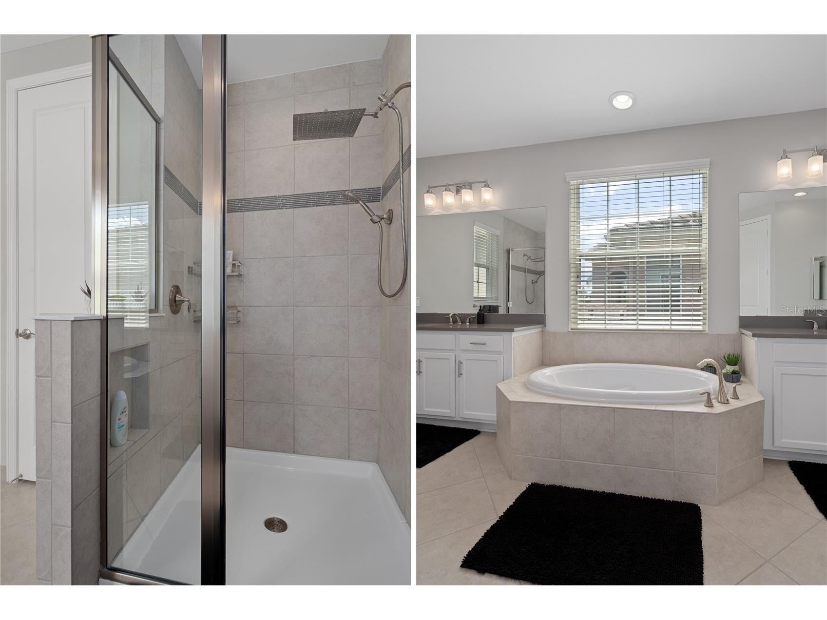30351 Tristania Court Wesley Chapel FL 33543 TB8495701 image56