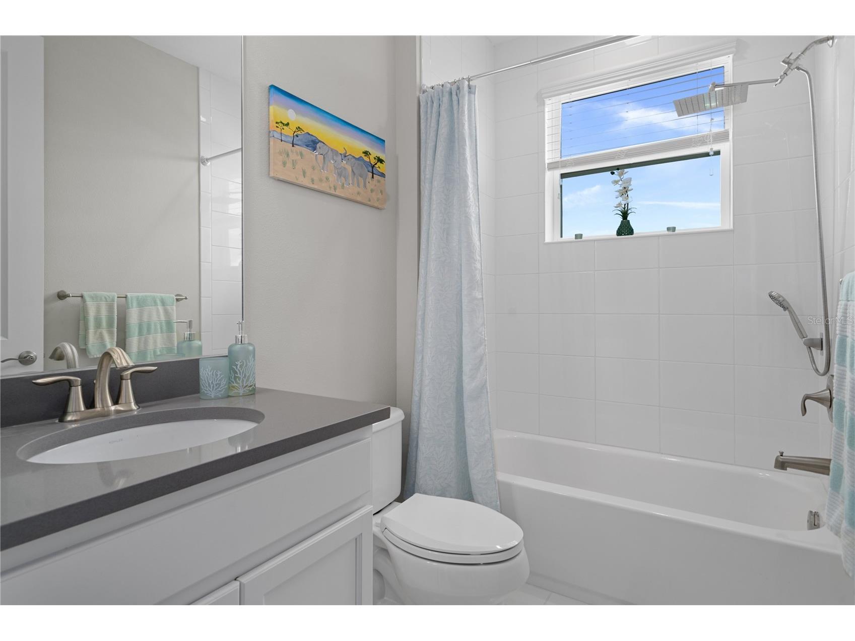 30351 Tristania Court Wesley Chapel FL 33543 TB8495701 image62
