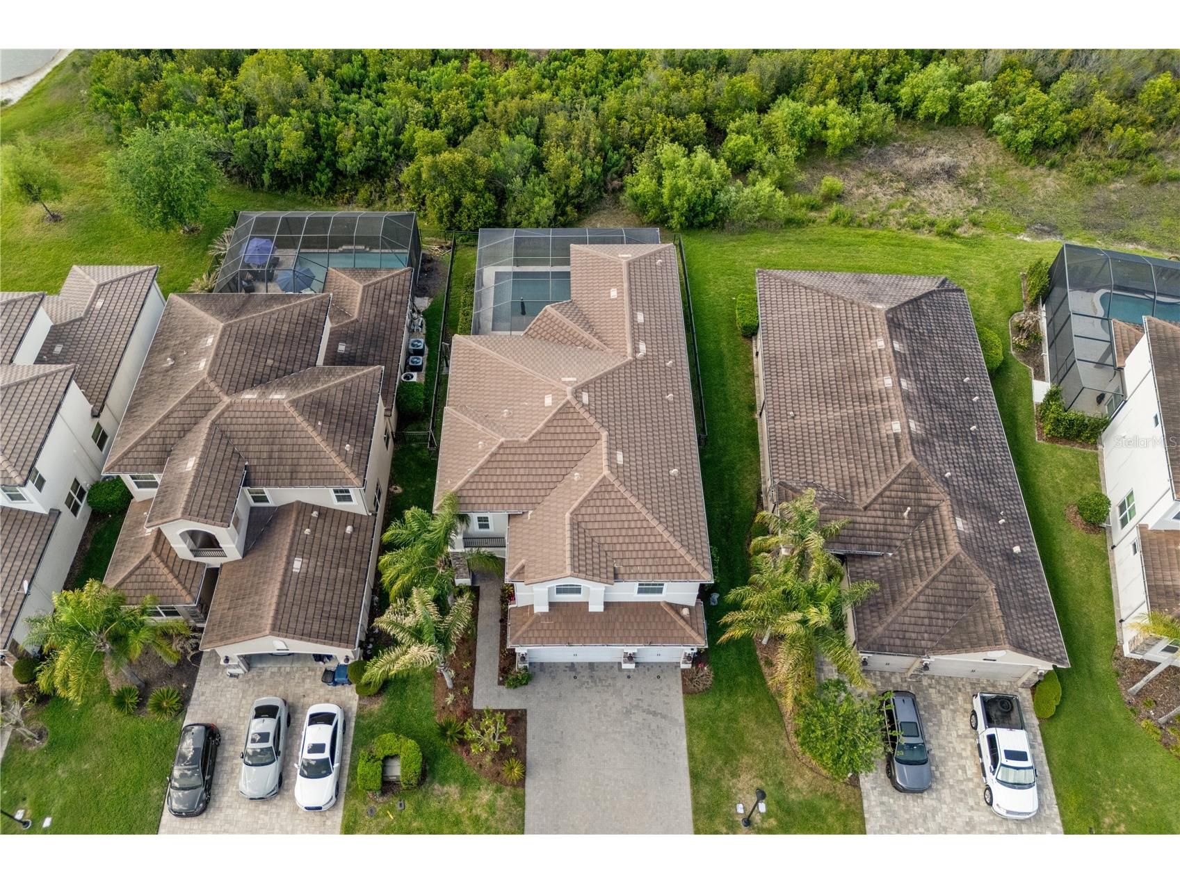 30351 Tristania Court Wesley Chapel FL 33543 TB8495701 image71