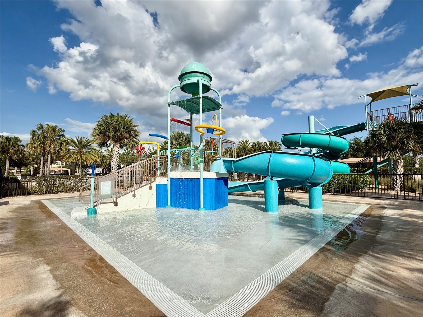 30351 Tristania Court Wesley Chapel FL 33543 TB8495701 image78