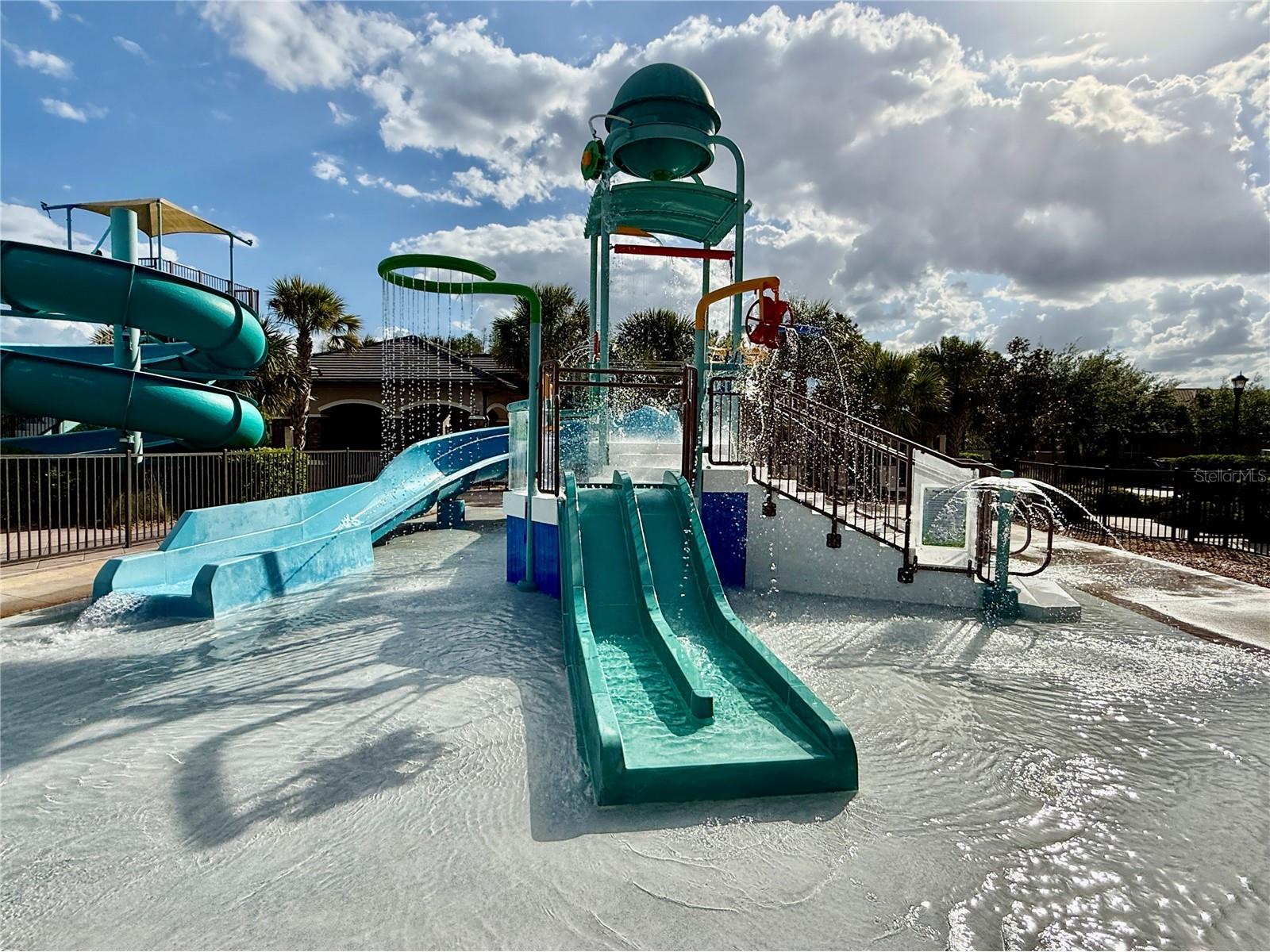 30351 Tristania Court Wesley Chapel FL 33543 TB8495701 image79