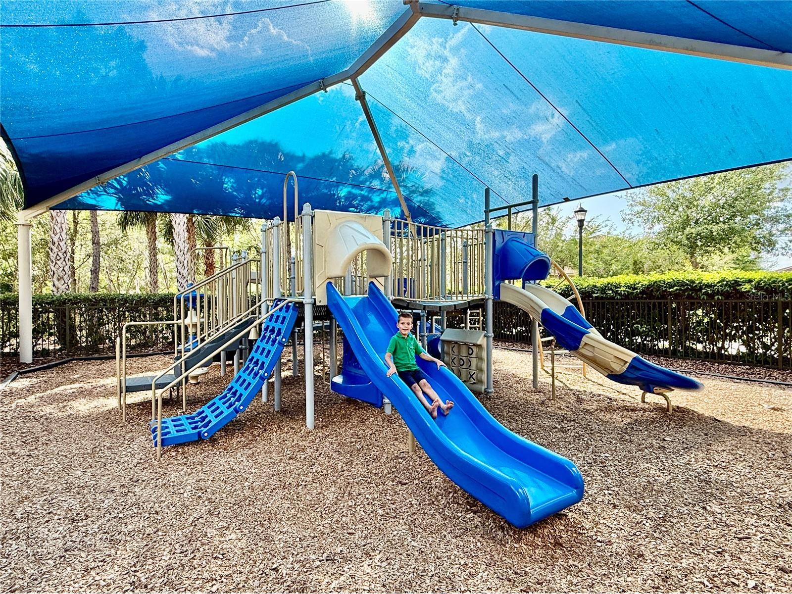30351 Tristania Court Wesley Chapel FL 33543 TB8495701 image83