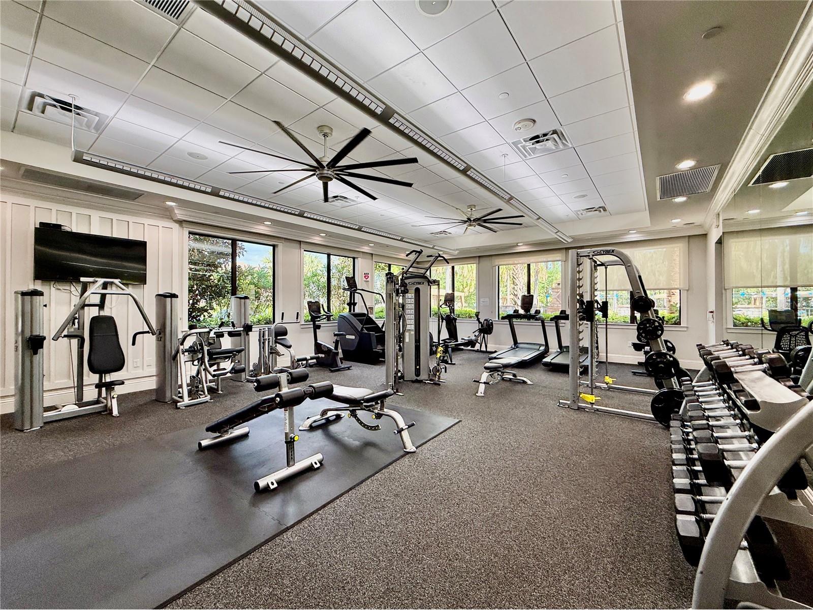 30351 Tristania Court Wesley Chapel FL 33543 TB8495701 image84