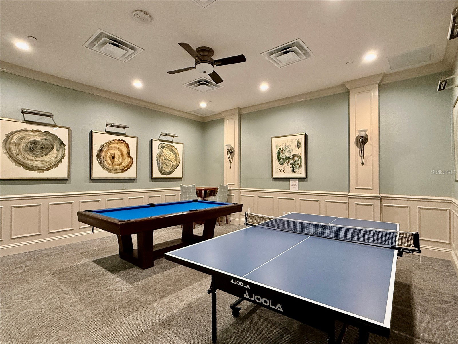 30351 Tristania Court Wesley Chapel FL 33543 TB8495701 image87