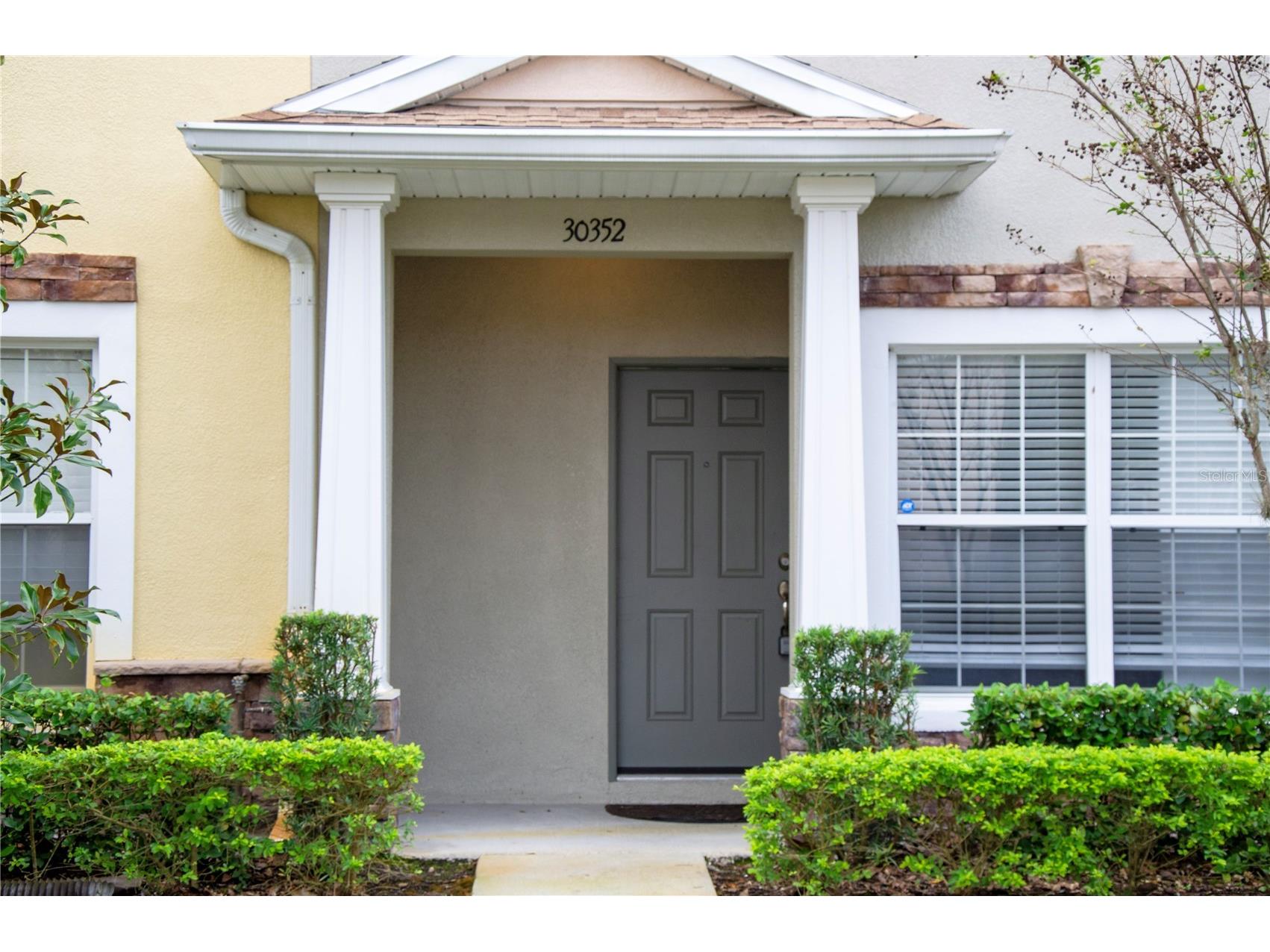 30352 Elderwood Drive Wesley Chapel FL 33543 TB8454443 image1