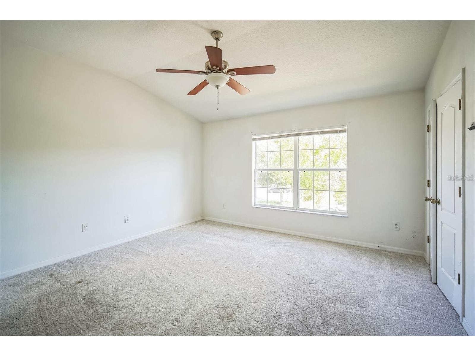 30352 Elderwood Drive Wesley Chapel FL 33543 TB8454443 image10