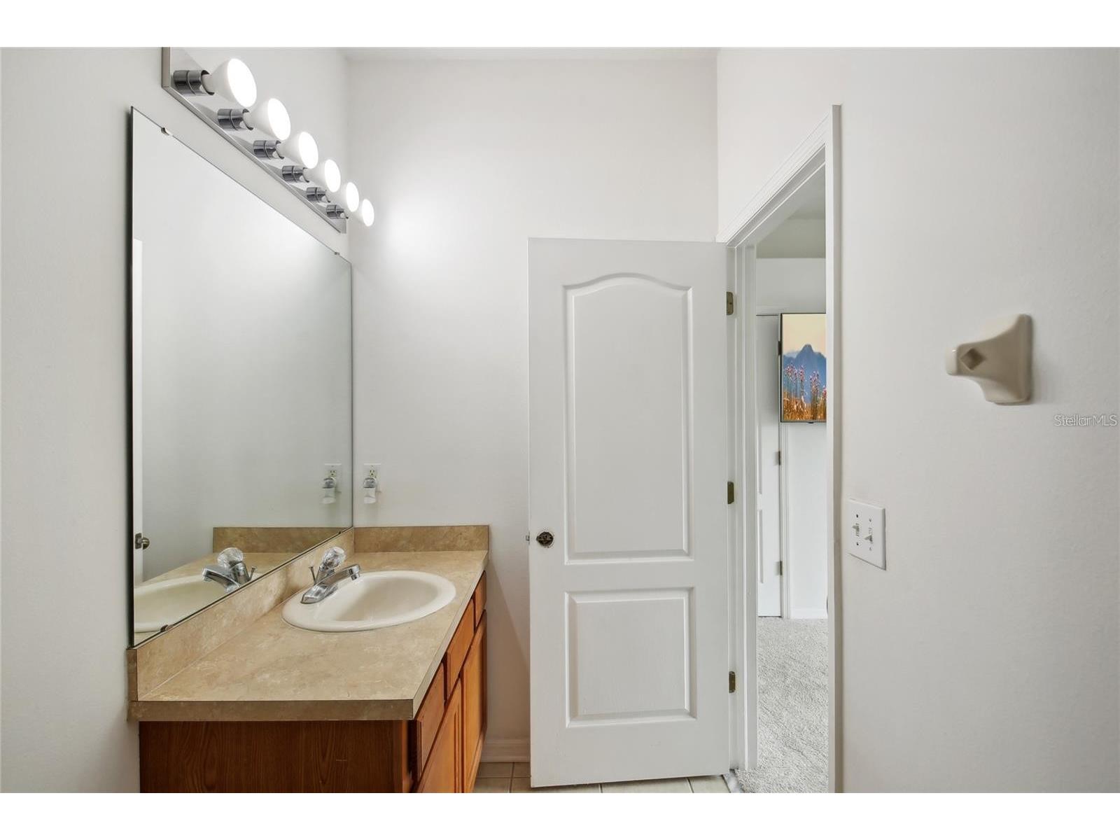 30352 Elderwood Drive Wesley Chapel FL 33543 TB8454443 image13