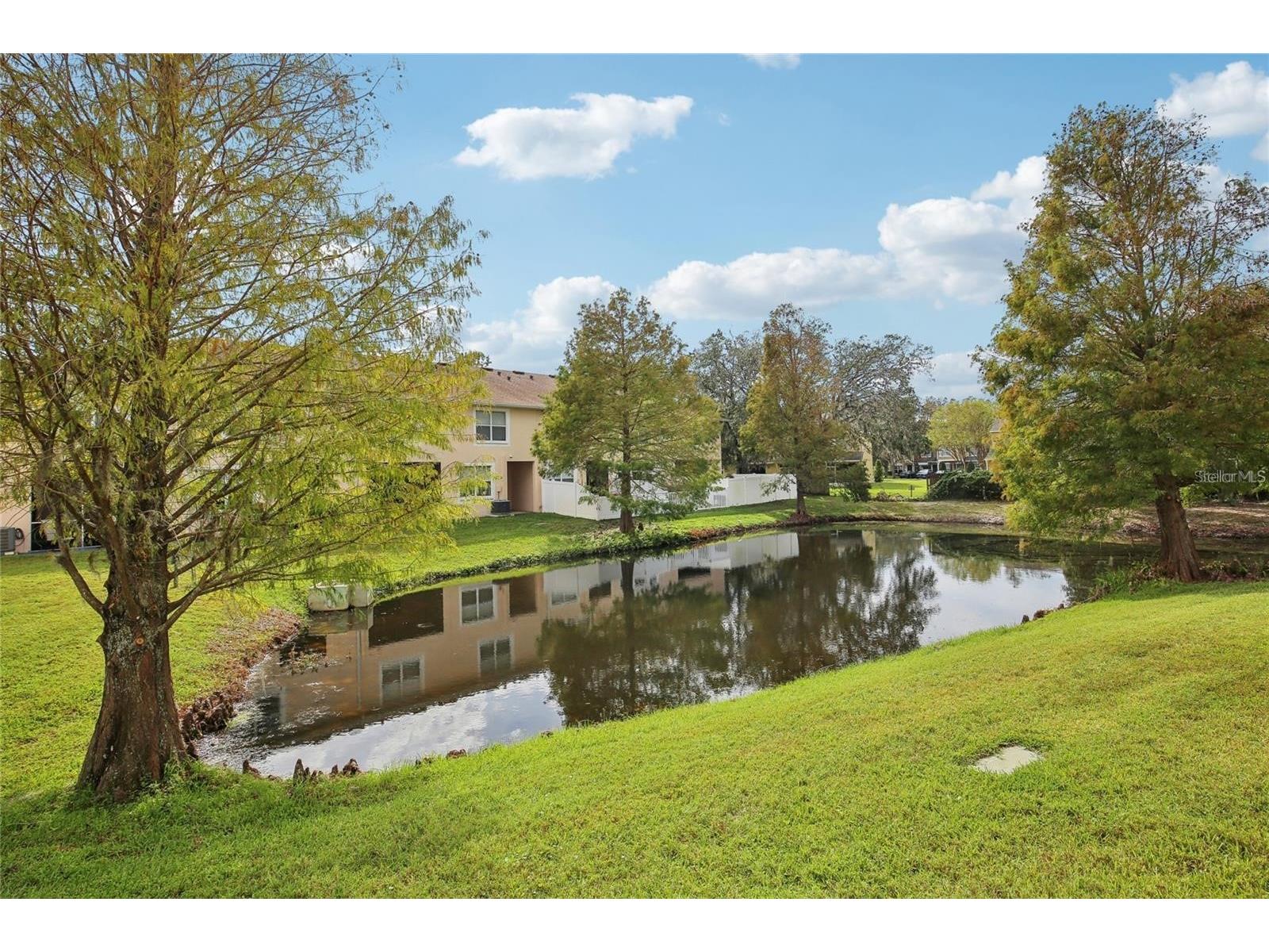 30352 Elderwood Drive Wesley Chapel FL 33543 TB8454443 image15