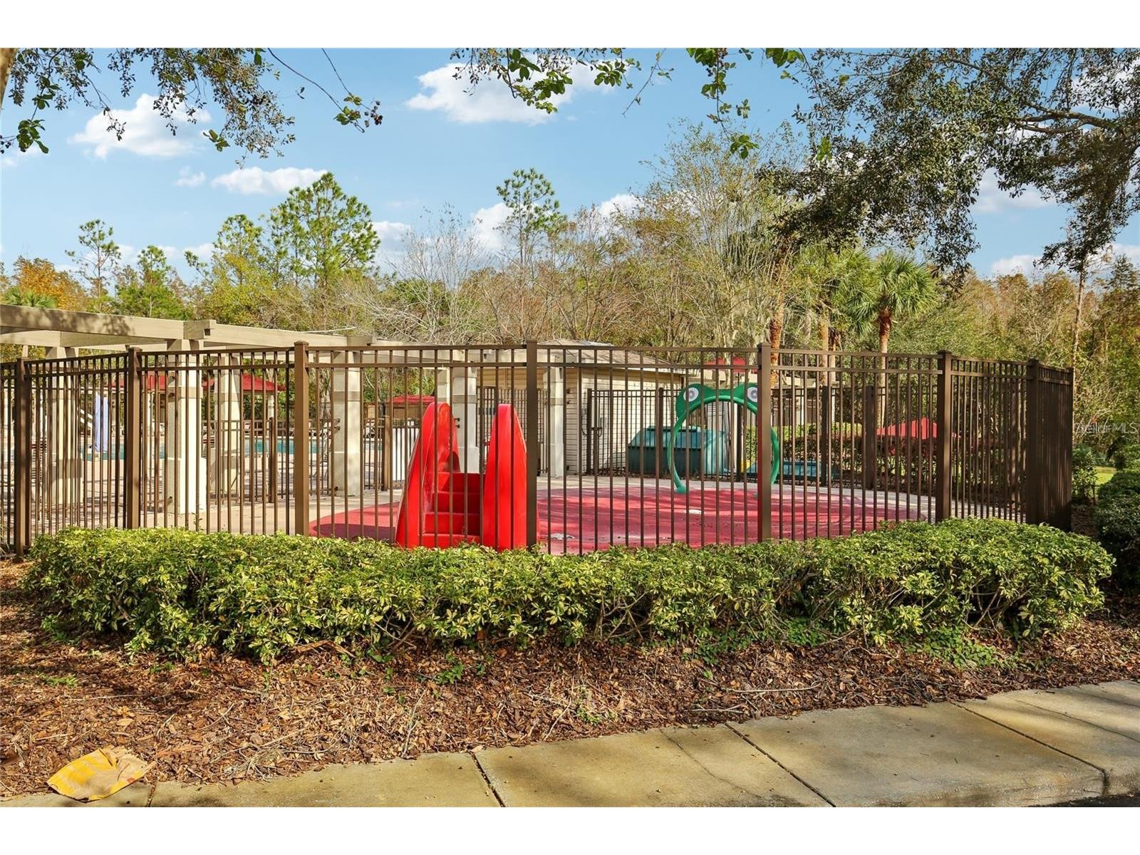 30352 Elderwood Drive Wesley Chapel FL 33543 TB8454443 image18