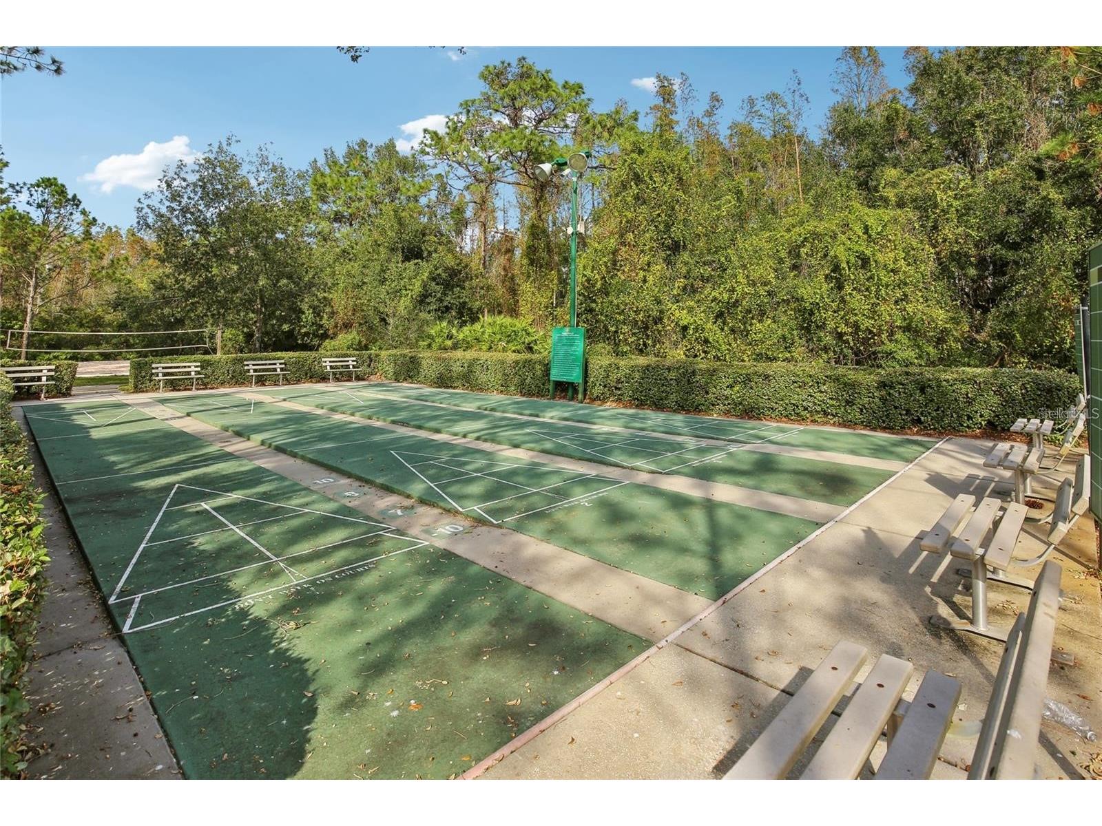 30352 Elderwood Drive Wesley Chapel FL 33543 TB8454443 image20