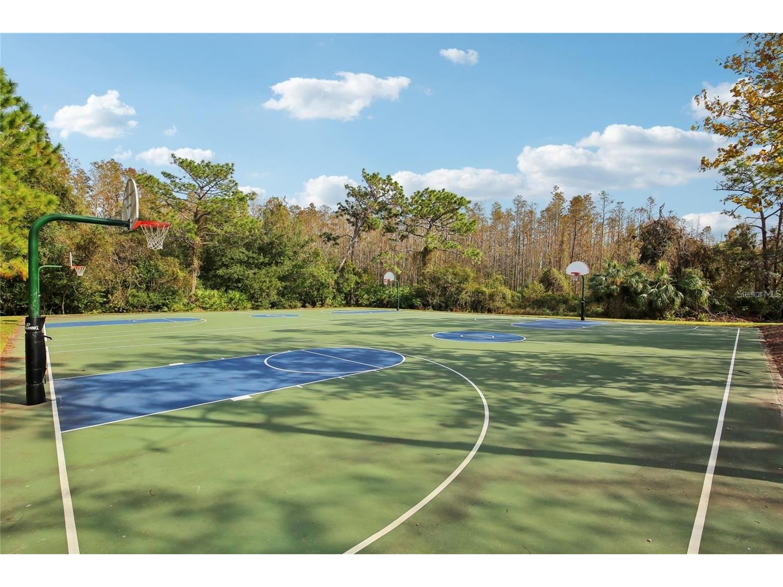 30352 Elderwood Drive Wesley Chapel FL 33543 TB8454443 image21