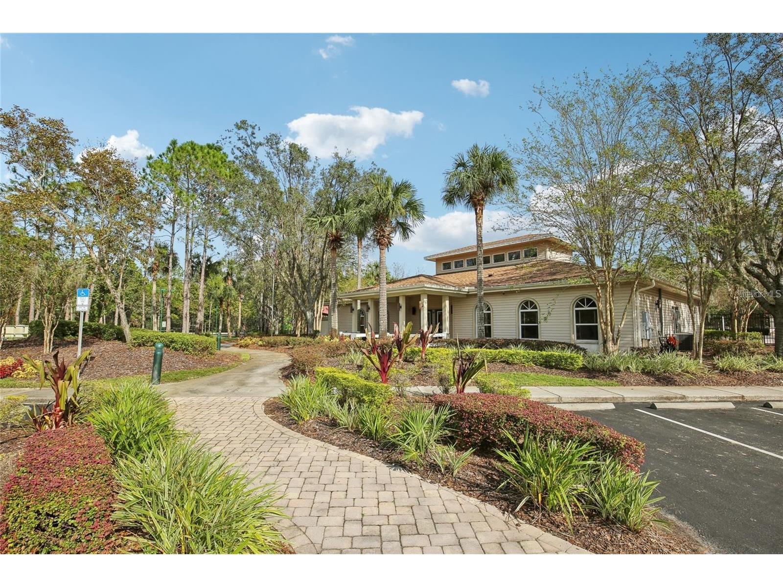 30352 Elderwood Drive Wesley Chapel FL 33543 TB8454443 image22