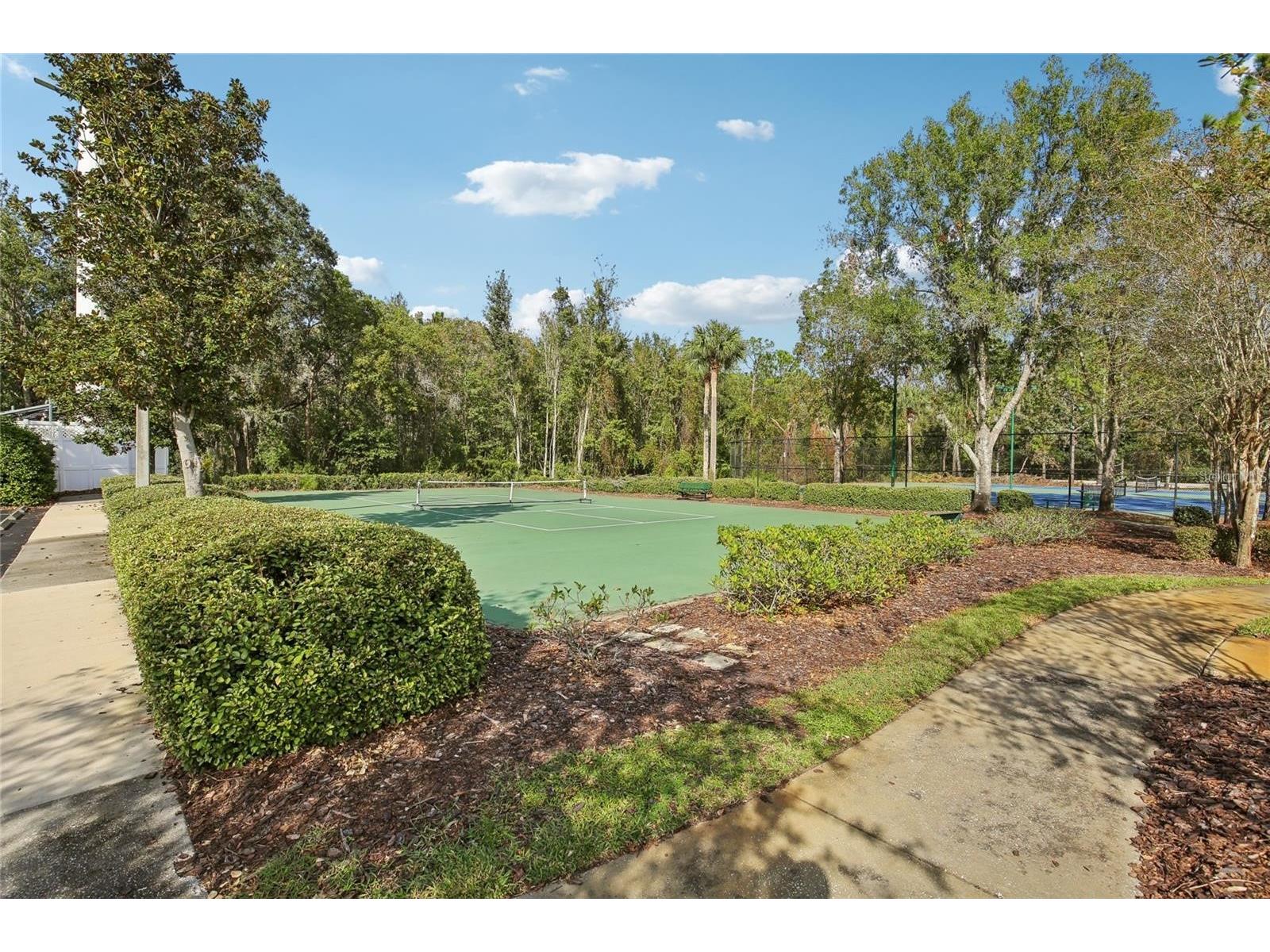 30352 Elderwood Drive Wesley Chapel FL 33543 TB8454443 image23