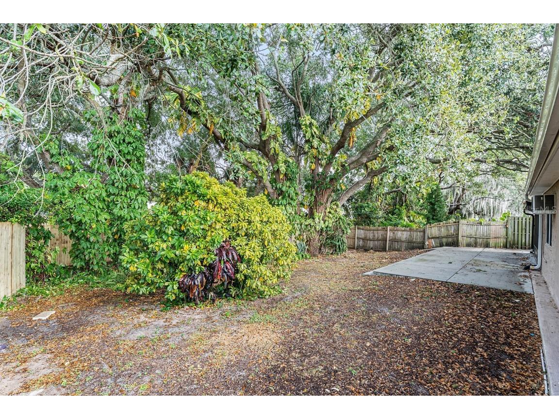 3036 Blue Bird Drive Holiday FL 34690 O6366135 image24